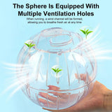 Hamster Running Ball Wheel Exercise Roller Toy Supplies Outside Cage Activity - Close-Up Angle