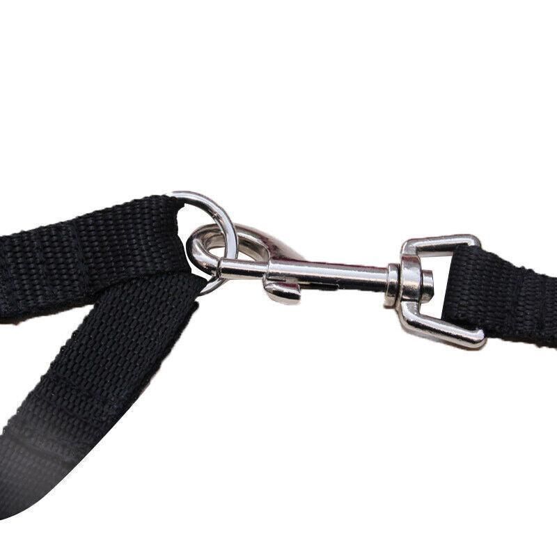 2 Way Double Dual Dog Leash Walk 2 Dogs With One Lead Coupler Nylon Harness - Blue