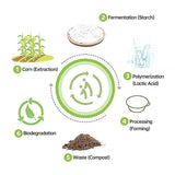 50PCS Biodegradable Corn Starch Lunch Box Round Takeout Containers Eco Friendly - 900ml - 45-Degree Angle