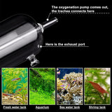 Aquarium Oxygen Diffuser Glass Bubble Stone CO2 Aquatic Plant Tank Oxygenator - Low Angle