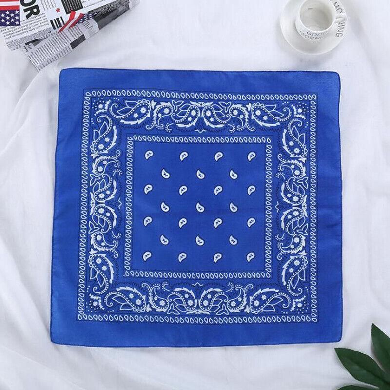 Paisley Bandana Scarf Head Wrap Face Neck Cover Summer Outdoor Fishing Headwear - Lake Blue