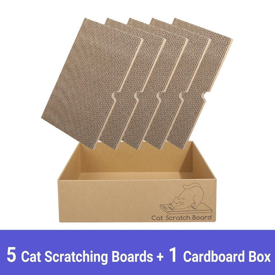 Eco-Friendly Corrugated Cardboard Cat Scratcher Cartoon Design and Play Hole