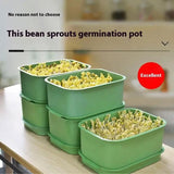 Seedling Tray Sprout Tray Soilless Hydroponic Planting Pot for Indoor Gardening - Green