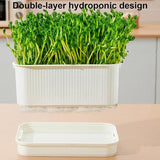Seedling Tray Sprout Tray Soilless Hydroponic Planting Pot for Indoor Gardening - Green