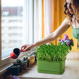 Seedling Tray Sprout Tray Soilless Hydroponic Planting Pot for Indoor Gardening - Green - Extra Image