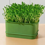 Seedling Tray Sprout Tray Soilless Hydroponic Planting Pot for Indoor Gardening - White - Low Angle
