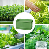 Seedling Tray Sprout Tray Soilless Hydroponic Planting Pot for Indoor Gardening - White - Top-Down View