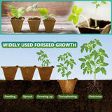 15pcs Pulp Seedling Cups 12 Compartments Nursery Incubators Plant Grow Trays - Extra Image