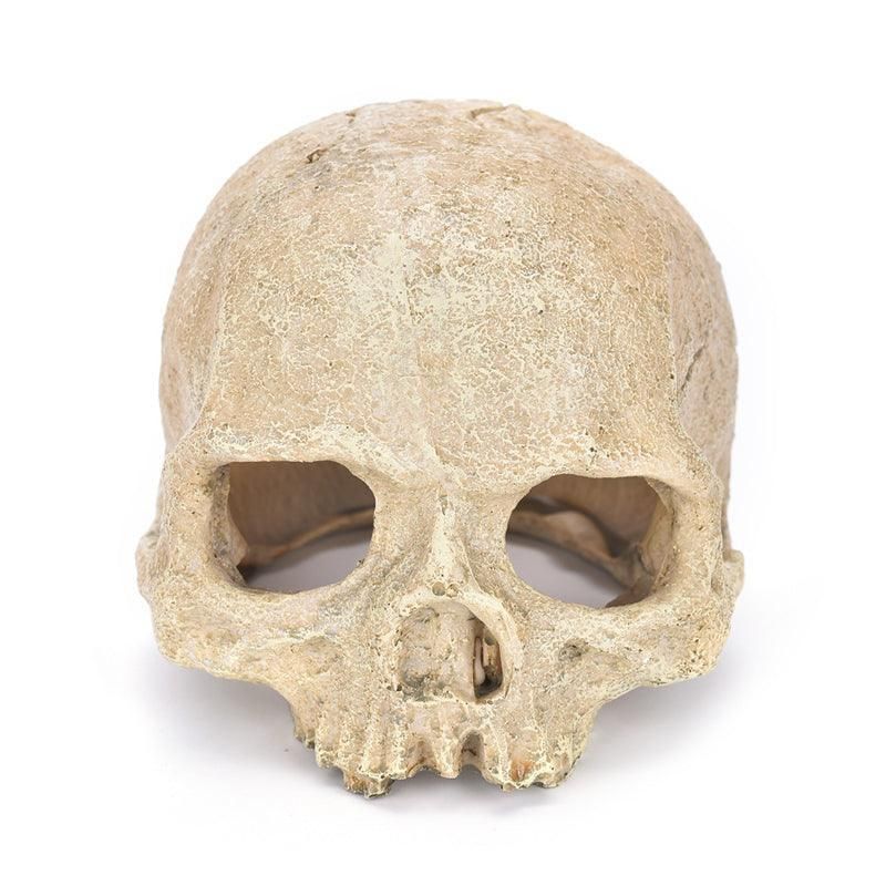 Artificial Fake Skull Head Bone Aquarium Ornament Fish Tank Decoration - Hat