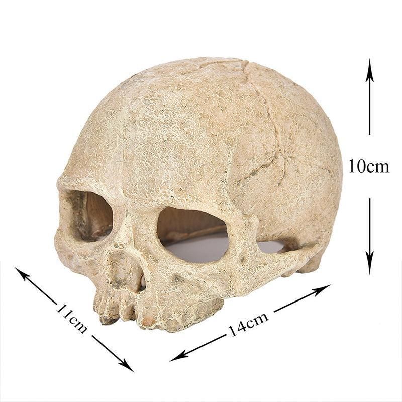 Artificial Fake Skull Head Bone Aquarium Ornament Fish Tank Decoration - Pirate