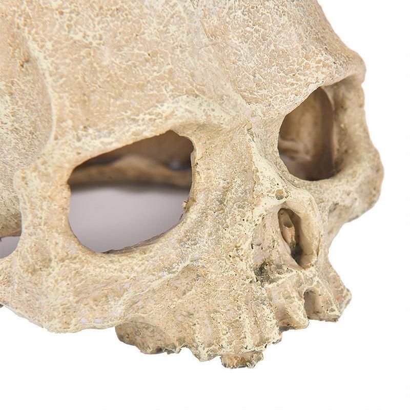 Artificial Fake Skull Head Bone Aquarium Ornament Fish Tank Decoration - Pirate