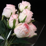 100X Clear Cellophane Wrap Rolls - 4 Sizes for Gifts & Bouquets - 100PCS-53*53CM - Top-Down View