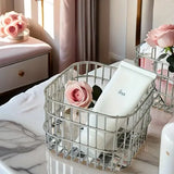 Stainless Steel Household Storage Basket Square Organizer for Kitchen and Home - Low Angle