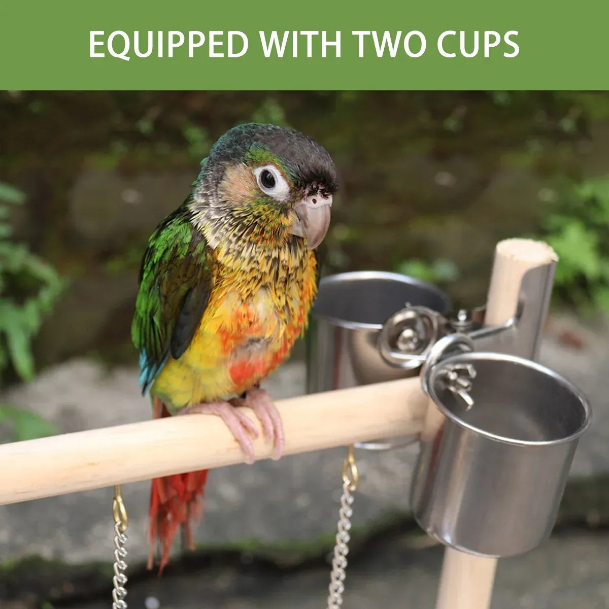 Parrot Wooden Playground Station Swing Climbing Ladder Cage Rack Bird Perch Toy