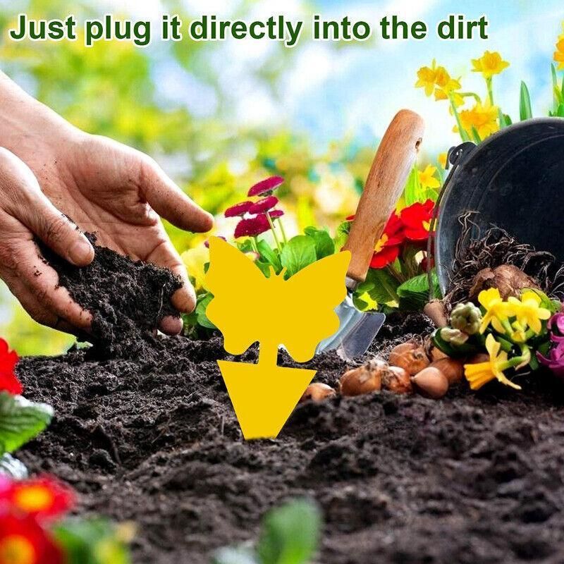 10X Dual Sided Sticky Trap Insect Killer Whitefly Thrip Fruit Fly Gnat - Butterfly 30PCS