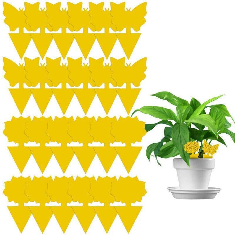 10X Dual Sided Sticky Trap Insect Killer Whitefly Thrip Fruit Fly Gnat - Butterfly 50PCS