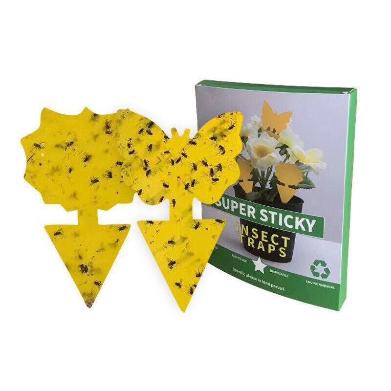 10X Dual Sided Sticky Trap Insect Killer Whitefly Thrip Fruit Fly Gnat - Sunflower 10PCS