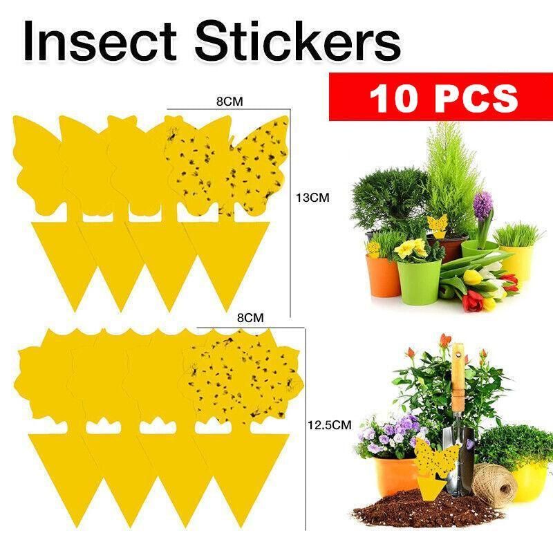 10X Dual Sided Sticky Trap Insect Killer Whitefly Thrip Fruit Fly Gnat - Sunflower 30PCS