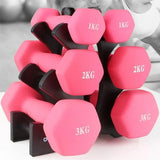 Dumbbell Storage Holder Gym Hand Weight Stand 3-Tier Tree Rack Weights Organizer - 45-Degree Angle