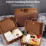 Rattan Organizer Woven Suitcase Storage Boxes for Home Office Organization - Rear View