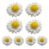 8PCS Sunflower Daisy Paper Flowers 20cm/30cm Wall Hanging Party Room Decoration - Front View