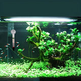 High Temperature Resistant Fish Tank Tortoise Tank Thermometer with Suction Cup