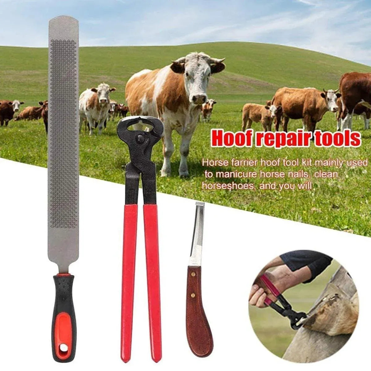 14 Inch Shoe Repair Tool Set Pliers Knife File Horseshoe Shear Hoof Trimming Kit