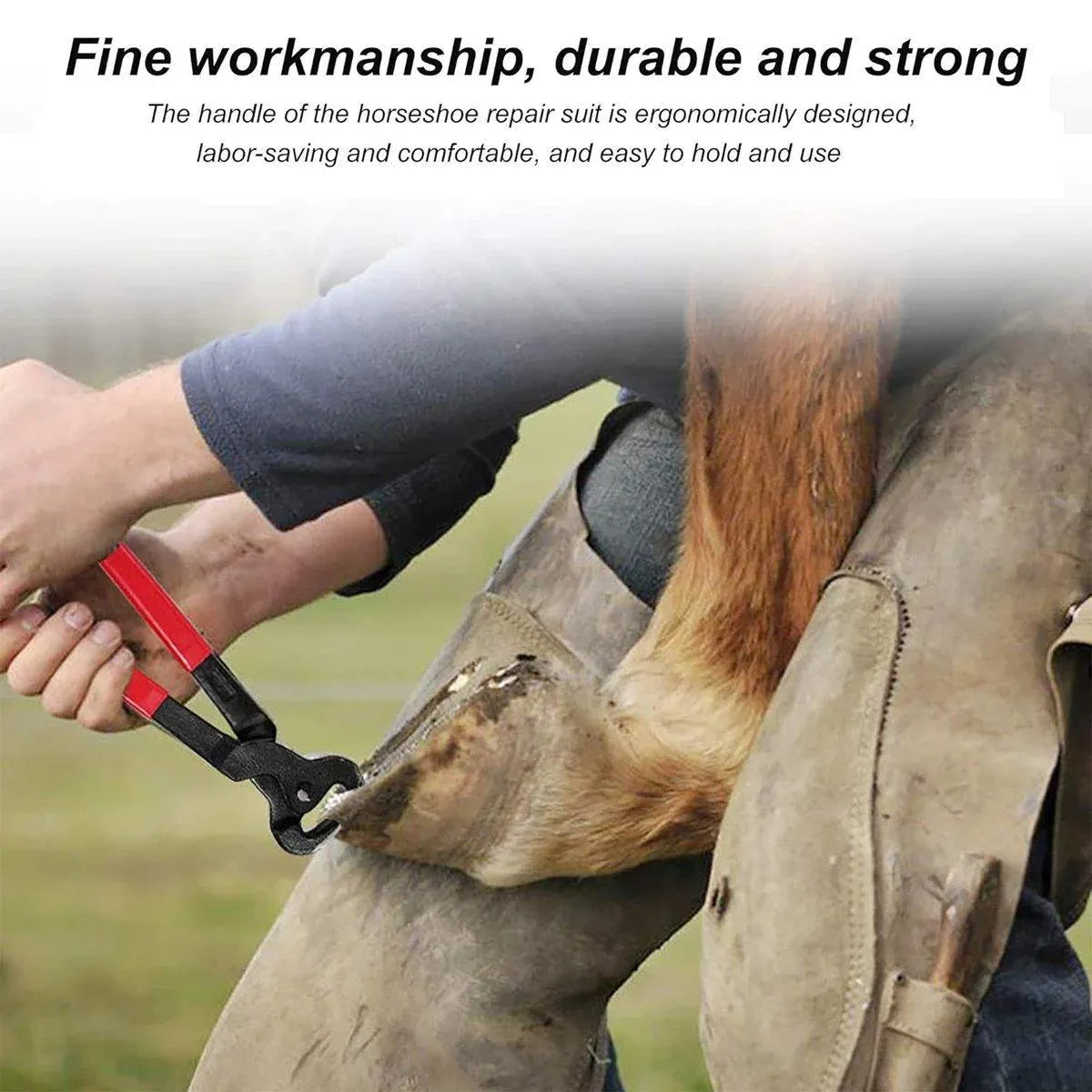14 Inch Shoe Repair Tool Set Pliers Knife File Horseshoe Shear Hoof Trimming Kit