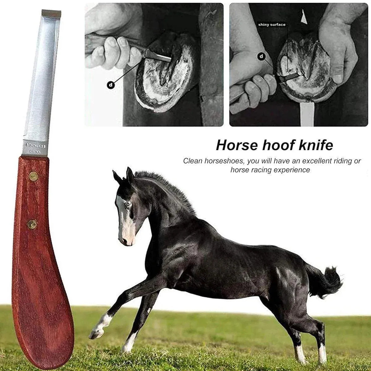 14 Inch Shoe Repair Tool Set Pliers Knife File Horseshoe Shear Hoof Trimming Kit