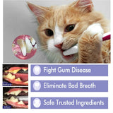 Pet Oral Care Cats Dogs Clean Bad Breath Tartar Stains Teeth Whitening Kit - Close-Up Angle
