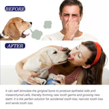 Pet Oral Care Cats Dogs Clean Bad Breath Tartar Stains Teeth Whitening Kit - Low Angle
