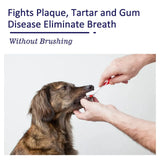 Pet Oral Care Cats Dogs Clean Bad Breath Tartar Stains Teeth Whitening Kit - Extra Image