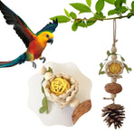 1-Piece Hanging Parrot Chew Toy with Pinecone and Woven Ball