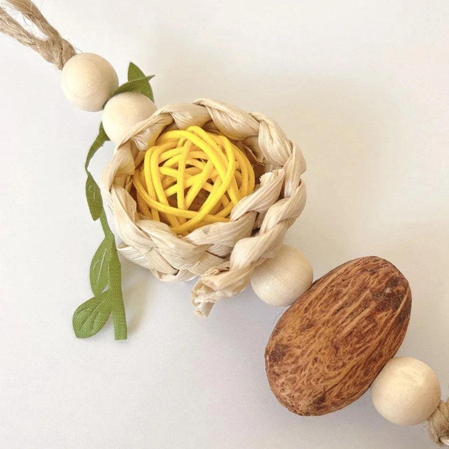 1-Piece Hanging Parrot Chew Toy with Pinecone and Woven Ball