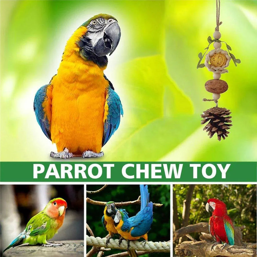 1-Piece Hanging Parrot Chew Toy with Pinecone and Woven Ball
