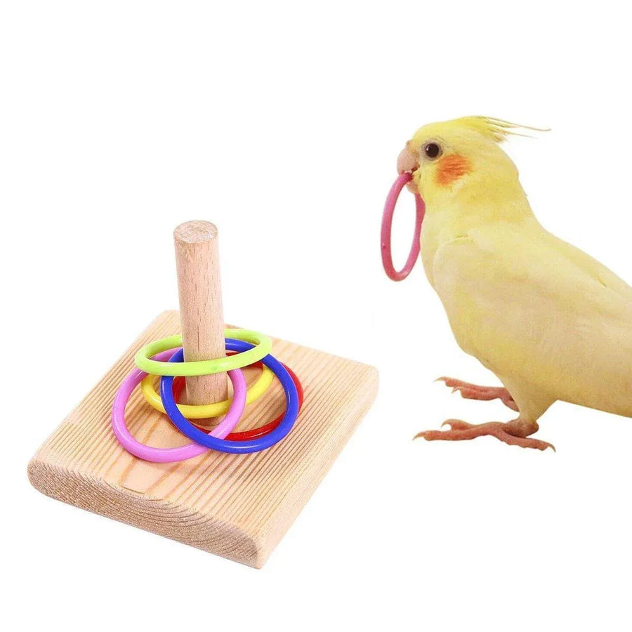 Parrot Chew Toys Interactive Bird Training Rings Set Pet Bird Intelligence Toys
