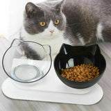 Double Cat Dog Bowl Elevated Pet Feeder Stand Raised Food Water Feeding Dish - Transparency+Transparency - Top-Down View