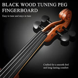 Beginner Violin 4/4 Set Durable Linden Wood for Kids Adults Learning - Top-Down View
