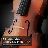 Beginner Violin 4/4 Set Durable Linden Wood for Kids Adults Learning - 45-Degree Angle