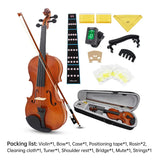 Beginner Violin 4/4 Set Durable Linden Wood for Kids Adults Learning - Rear View