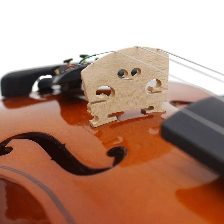 Beginner Violin 4/4 Set Durable Linden Wood for Kids Adults Learning