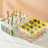 Transparent Rectangular Aquarium 12Hole Lid Portable Hydroponic Plant Fish Tank - Green - Top-Down View