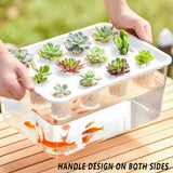 Transparent Rectangular Aquarium 12Hole Lid Portable Hydroponic Plant Fish Tank - Green - 45-Degree Angle