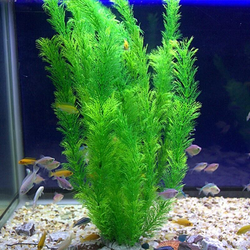 30cm Artificial Aquarium Plant Plastic Water Grass Decoration for Fish Tank