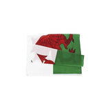 Large Wales Welsh Flag Heavy Duty Outdoor 90 X 150 CM - 3ft x 5ft - 45-Degree Angle