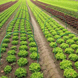 6PCS Greenhouse Plant Hoops Garden Tunnel Support for Row Covers and Netting - 45-Degree Angle