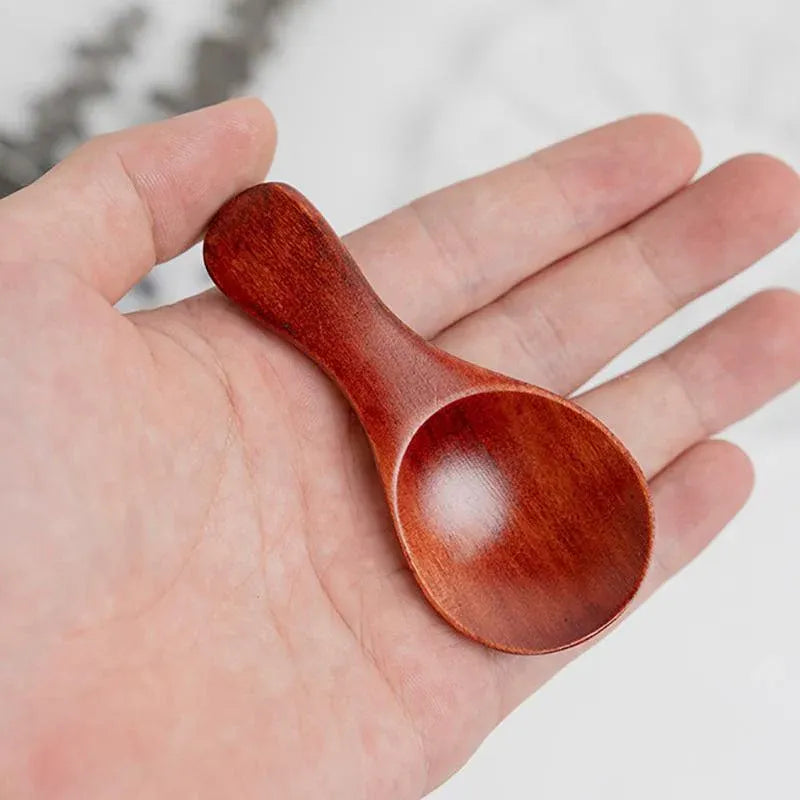 5PCS Mini Wooden Spoons Natural Wood Spice Condiment Dessert Scoops - Red