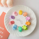 10PCS Mini Hair Clips Colourful Plastic Hair Clamps for Braiding and Styling - Carrot - Extra Image