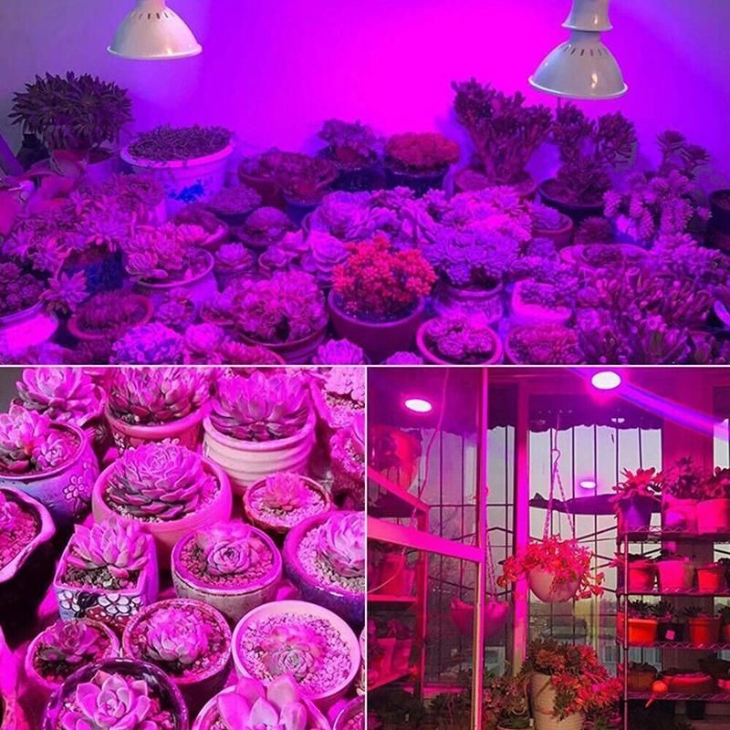 200 LED Clip-On Plant Grow Light with Flexible Gooseneck - 1 Pc