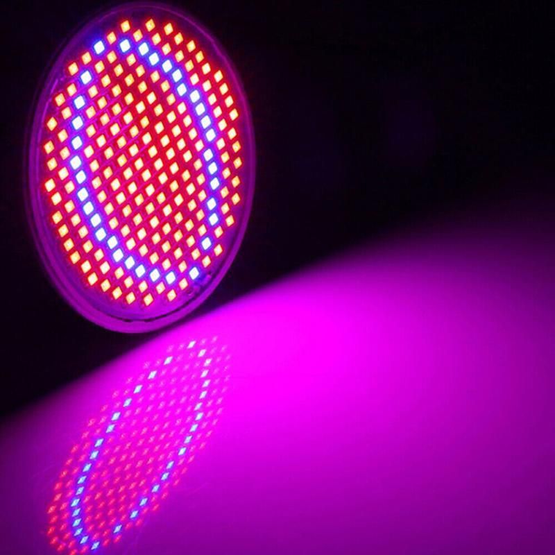 200 LED Clip-On Plant Grow Light with Flexible Gooseneck - 1 Pc